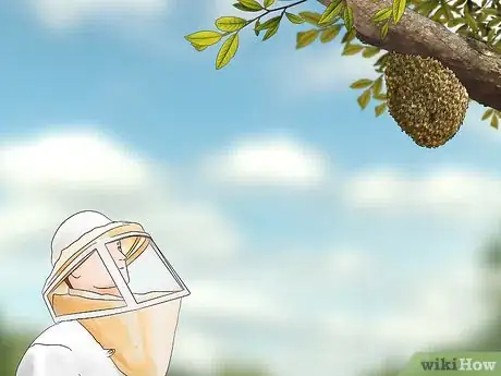 Imagen titulada Get Rid of a Beehive Step 3