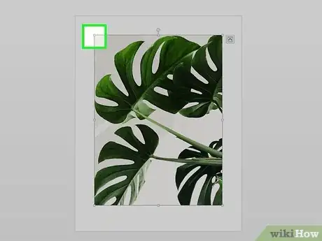Imagen titulada Add Images to a Microsoft Word Document Step 15