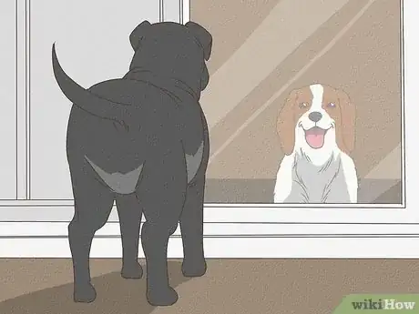Imagen titulada Care for a Sick Dog Step 14