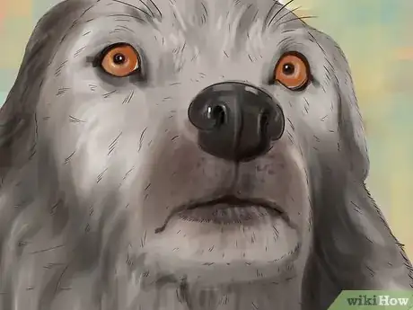 Imagen titulada Recognize Fear in Dogs Step 1