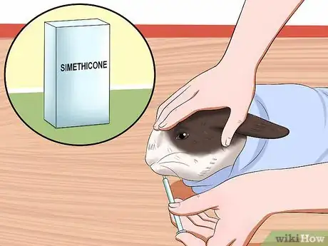Imagen titulada Treat Digestive Problems in Rabbits Step 13