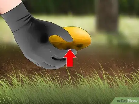 Imagen titulada Keep Yellow Jacket Wasps Away Step 2
