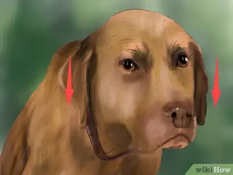 Imagen titulada Recognize Fear in Dogs Step 5