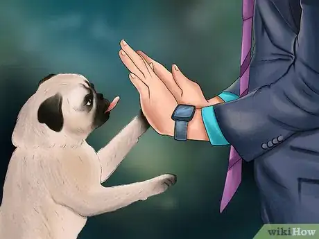 Imagen titulada Care for a Pug Step 2