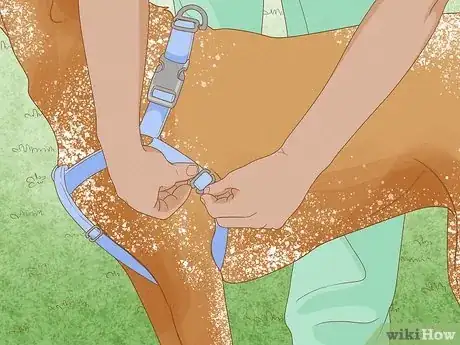 Imagen titulada Measure a Dog for a Harness Step 4
