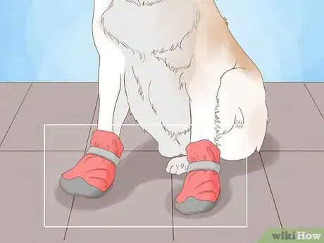 Imagen titulada Stop a Dog from Licking Its Paws with Home Remedies Step 10