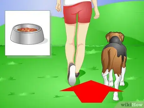 Imagen titulada Get Your Dog to Eat the Dog Food It Does Not Like Step 8