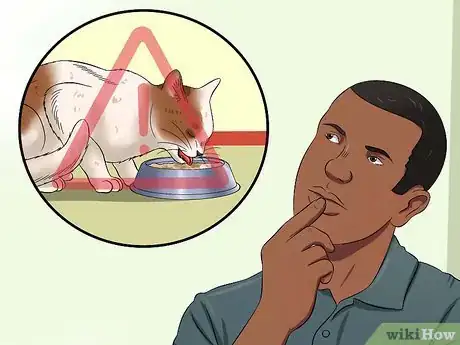Imagen titulada Stop a Cat from Pulling Its Hair Out Step 7