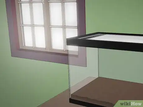 Imagen titulada Care for Giant African Land Snails Step 5
