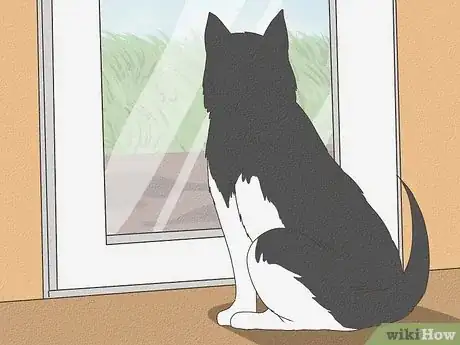 Imagen titulada Care for a Sick Dog Step 11