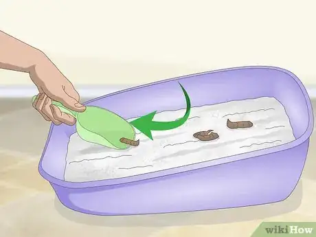 Imagen titulada Dispose of Cat Litter Step 1