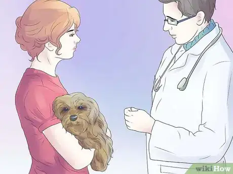 Imagen titulada Remove Ear Mites from a Dog Step 1