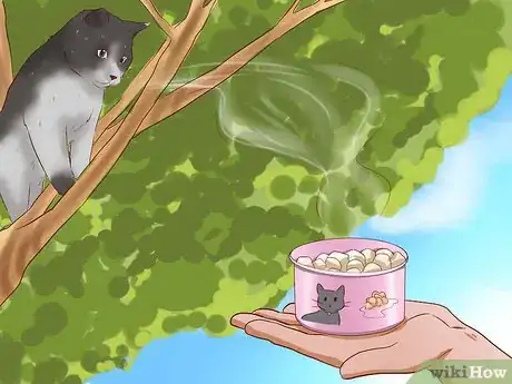 Imagen titulada Get a Cat out of a Tree Step 4