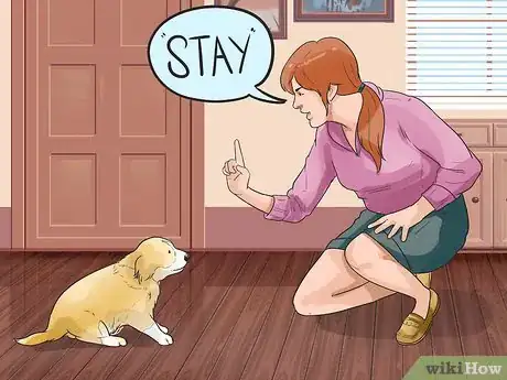 Imagen titulada Put on a Puppy Harness Step 2