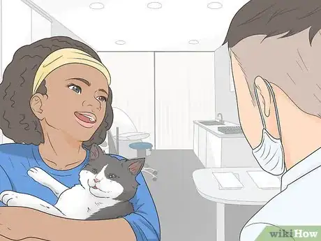 Imagen titulada Know if Your Cat Is Still a Kitten Step 7