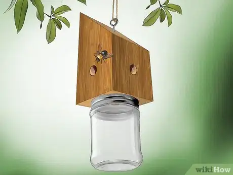 Imagen titulada Get Rid of Carpenter Bees Step 4
