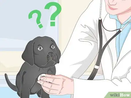 Imagen titulada Get a Puppy to Sleep Step 10