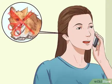 Imagen titulada Clean Your Cat When He Can't Do It Himself Step 34