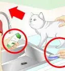 bañar a un gato de manera discreta sin que te rasguñe