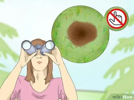 Imagen titulada Get Rid of Fire Ants Step 6
