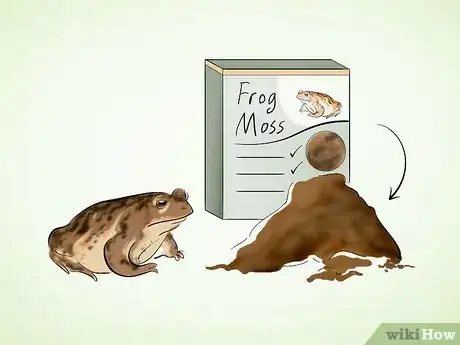 Imagen titulada Care for a Toad Step 2