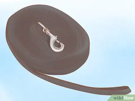 Imagen titulada Join Up With a Horse Step 2