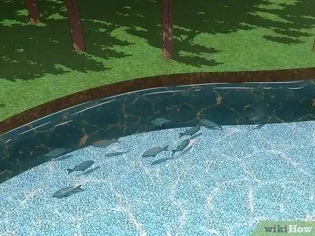 Imagen titulada Fish in a Lake Step 11