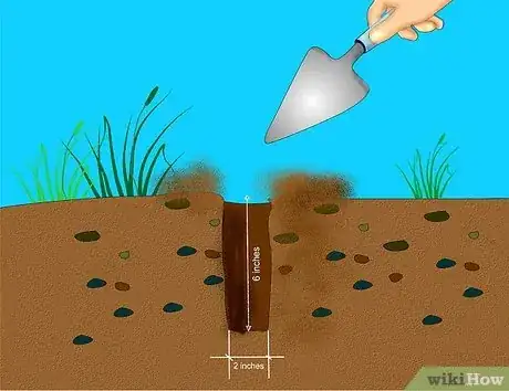 Imagen titulada Add Compost to Plants Step 7