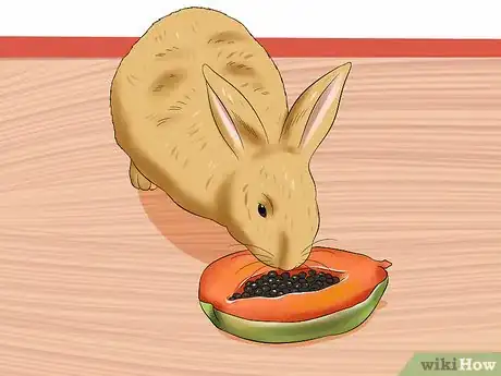 Imagen titulada Treat Digestive Problems in Rabbits Step 14