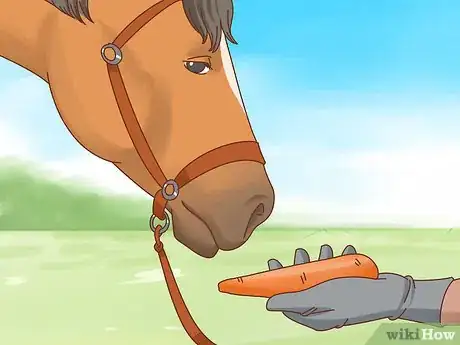 Imagen titulada Teach a Horse to Bow Step 8