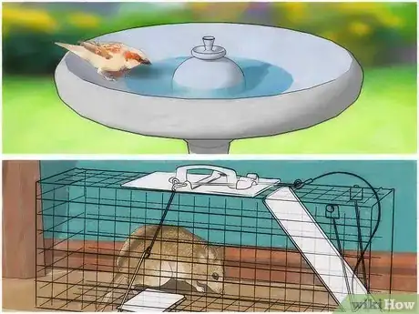 Imagen titulada Kill Fleas and Ticks in Your Home Step 15