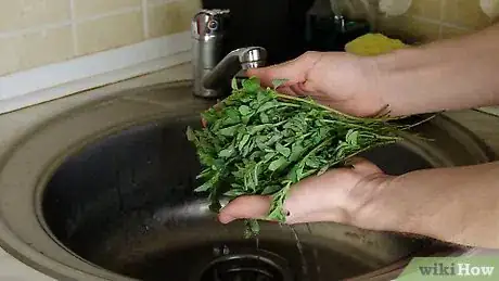 Imagen titulada Dry Oregano Step 2