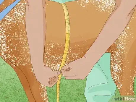 Imagen titulada Measure a Dog for a Harness Step 2