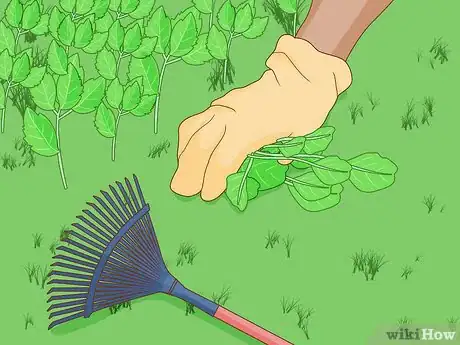 Imagen titulada Clean an Apartment Before Moving Out Step 21