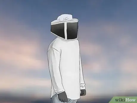 Imagen titulada Get Rid of a Beehive Step 7
