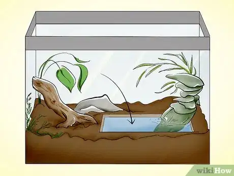 Imagen titulada Care for a Toad Step 4