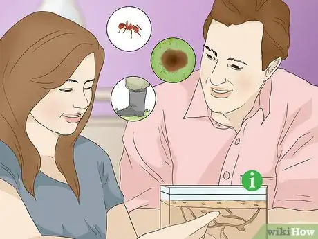 Imagen titulada Get Rid of Fire Ants Step 8