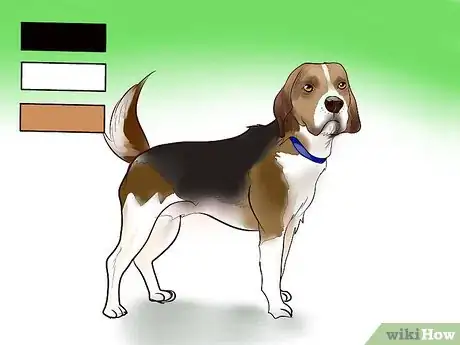 Imagen titulada Identify a Beagle Step 1