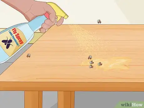 Imagen titulada Get Rid of Flies Step 10