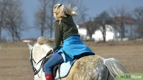 Imagen titulada Get Your Horse to Trust You Step 9