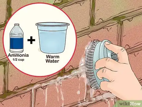 Imagen titulada Clean Red Brick Step 8