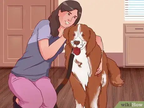 Imagen titulada Stop a Dog from Pulling on Its Leash Step 14