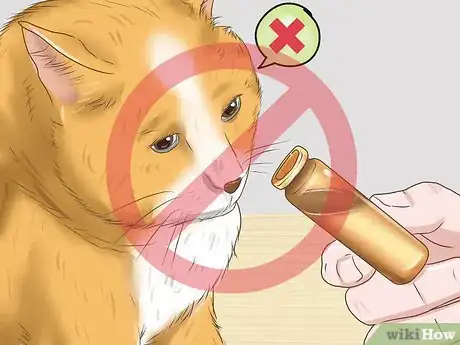 Imagen titulada Calm Your Cat with Aromatherapy Step 10