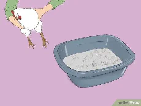 Imagen titulada Get Rid of Chicken Mites Step 4