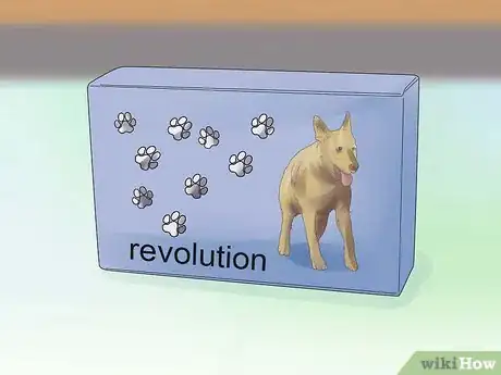 Imagen titulada Remove Ear Mites from a Dog Step 7