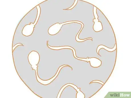 Imagen titulada Collect Semen from a Bull for a Breeding Soundness Exam Step 11