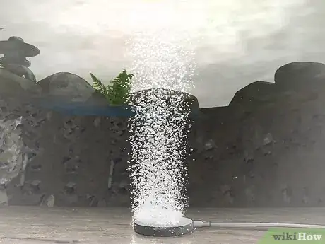 Imagen titulada Get Rid of Algae in Ponds Step 6