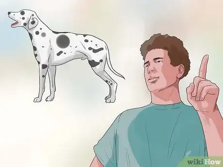 Imagen titulada Care for a Dalmatian Step 18