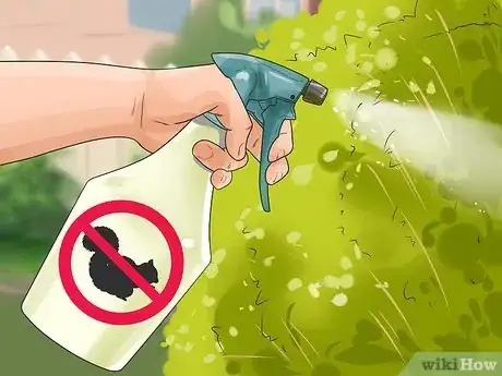 Imagen titulada Stop a Dog from Killing Squirrels Step 10