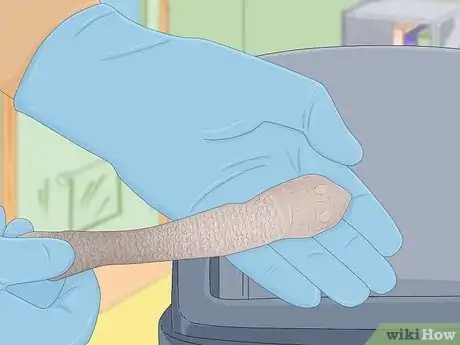 Imagen titulada Care for a Shedding Snake Step 8